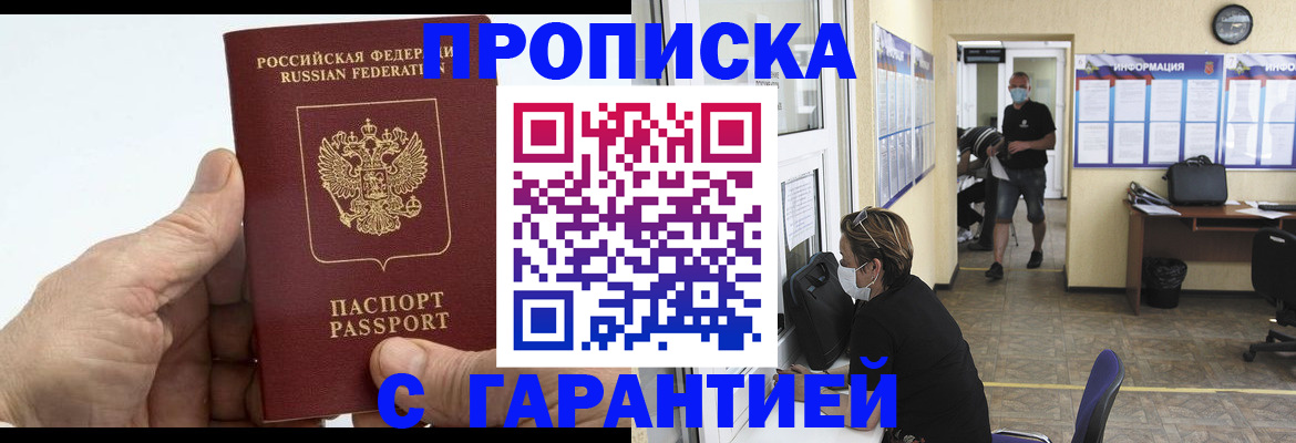 прописка поиск в Сольцах