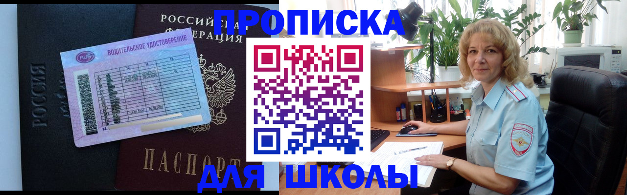 где прописаться в Сольцах